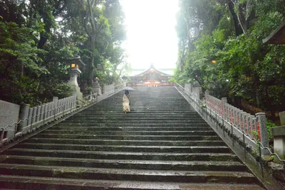 DSC_3227 (Large).JPG